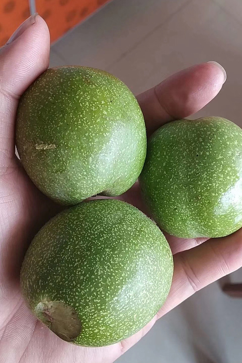 新货2025新鲜核桃云南薄皮核桃嫩核桃生核桃新鲜核桃
