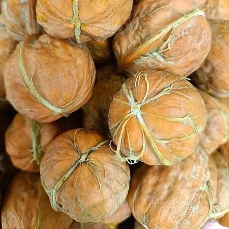 新货2025新鲜核桃云南薄皮核桃嫩核桃生核桃新鲜核桃