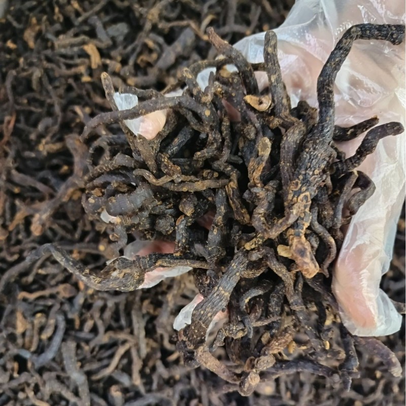 玉竹制玉竹药材批发九蒸九晒玉竹条大货批发