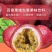 王老吉百香果维生素果味饮料招合作商批发代理