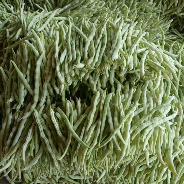 白芸豆角，白条豆角，产地直发，价格优惠，实力商家