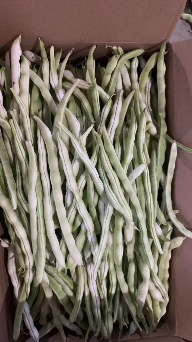 白芸豆角，白条豆角，产地直发，价格优惠，实力商家