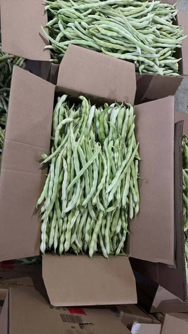 白芸豆角，白条豆角，产地直发，价格优惠，实力商家