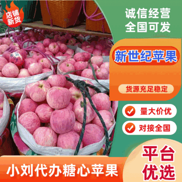新世纪套袋苹果早富士苹果套袋苹果量大发货