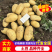 河南三优土豆沃土刘平一号V7希森都有质量好一手货源