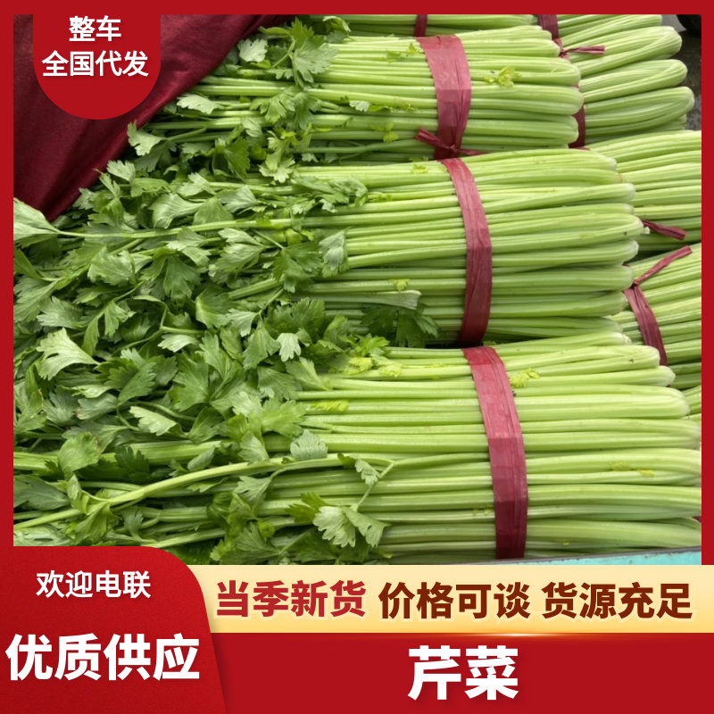 芹菜河北精品芹菜大量上市中产地直销一手货源欢迎咨询