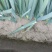 大葱上市自己种植价格优惠品质保证现挖现发品质好