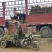 【多基地直供】台湾草草皮现铲现发专车送货量大可谈