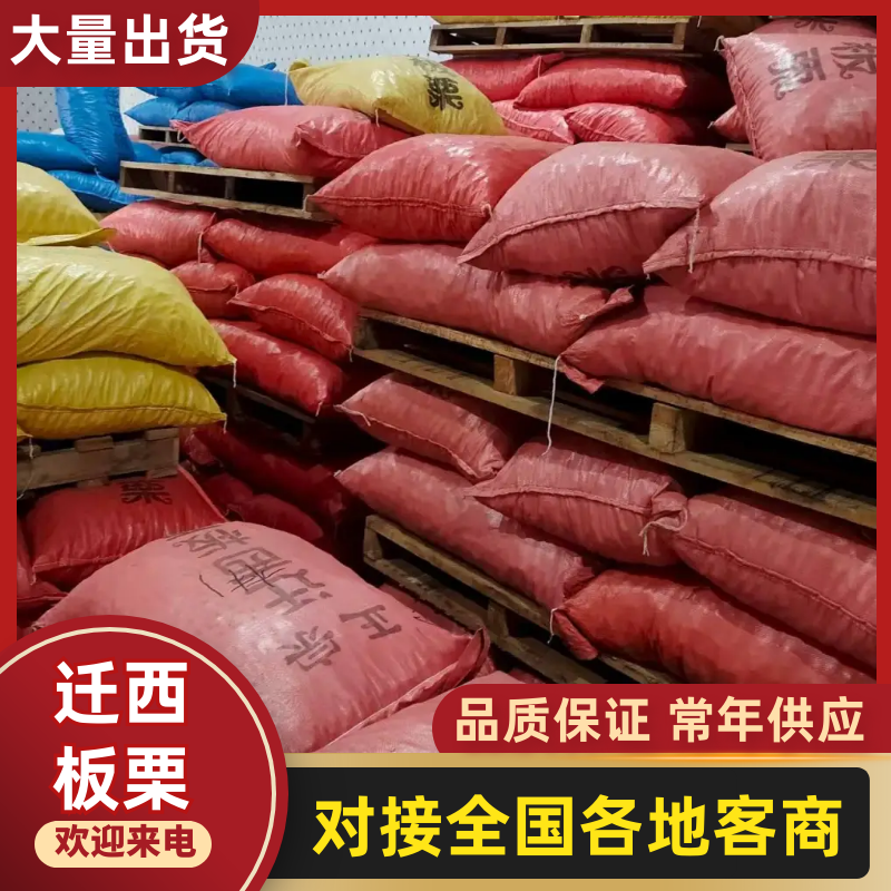 正宗迁西板栗货源充足/精品板栗对接全国品质保证欢迎选购