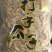 河北打手瓜子大量招电商/可视频看货/量大价优/欢迎咨询