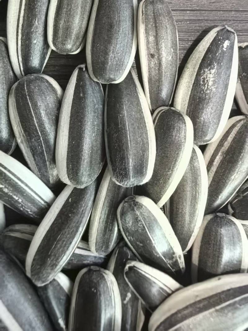 河北精品瓜子大量招电商/可视频看货/欢迎咨询