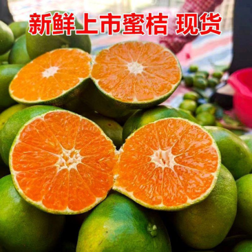 四川蜜橘，特早蜜橘产地一手货源，规格齐全，口感好品质高