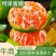 四川蜜橘，特早蜜橘产地一手货源，规格齐全，口感好品质高
