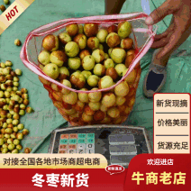 精品鲜枣冬枣自有厂房大型冷库提供代发专车接送看货