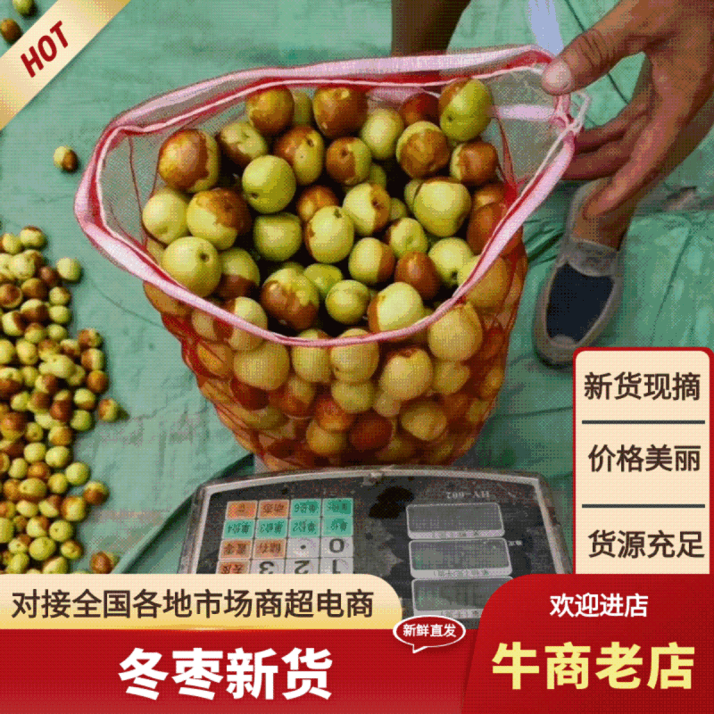 精品鲜枣冬枣自有厂房大型冷库提供代发专车接送看货