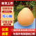 红心三红蜜柚大量上市了价格美丽品质保证一手货源