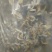 干货榆黄蘑黄金菇新鲜现货，基地直发品质保证，量大从优！