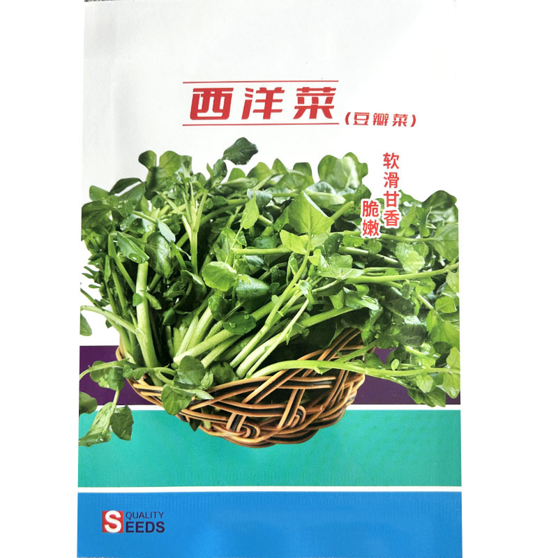 豆瓣菜种子西洋菜籽水芥菜水培蔬菜芽率高特菜种子