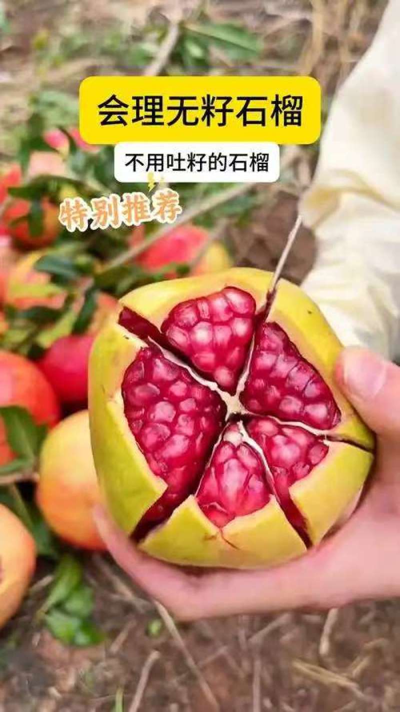 热卖会理突尼斯软籽石榴产地直发会理石榴无籽石榴四川石榴