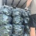 【电商】密刺黄瓜，电商黄瓜，现在基地大量出，来问价，便宜