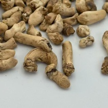单剪香菇脚干货无泥沙抛光香菇脚，打磨香菇脚批发