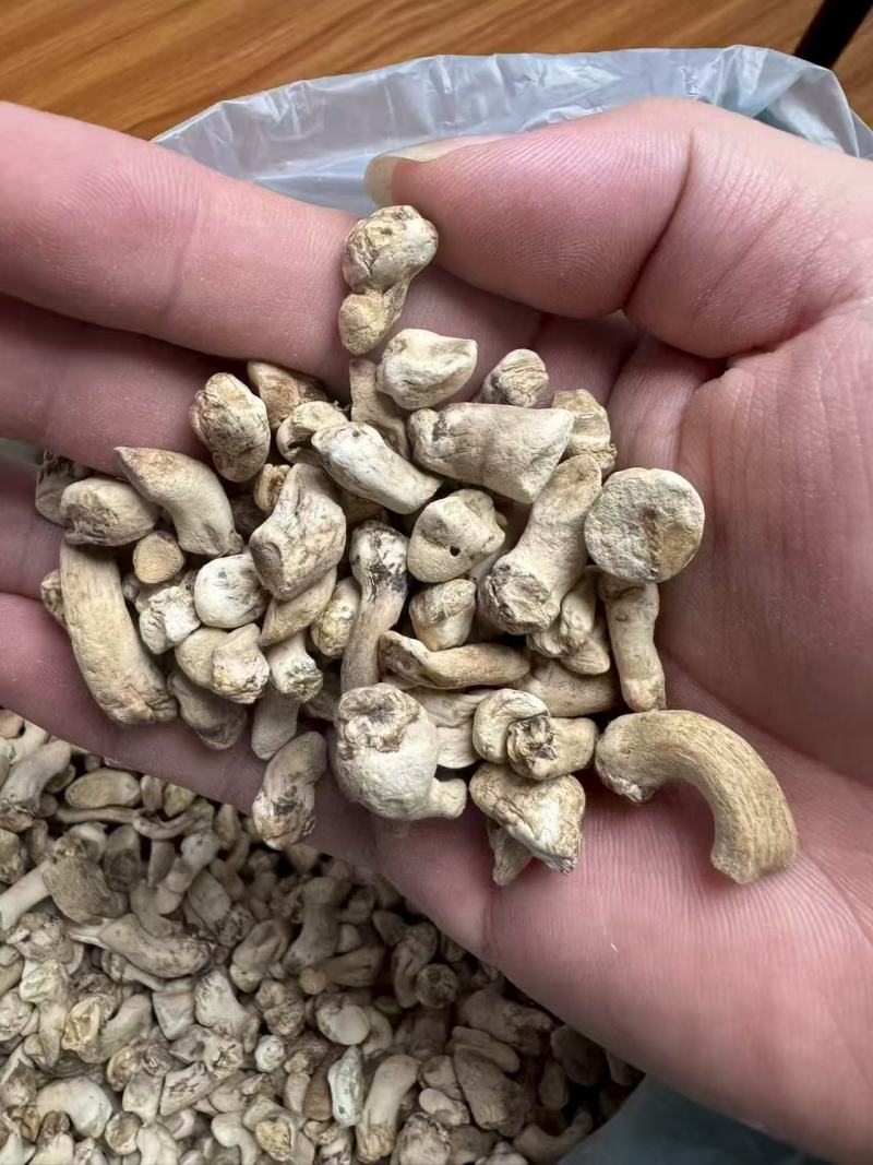 单剪香菇脚干货无泥沙抛光香菇脚，打磨香菇脚批发
