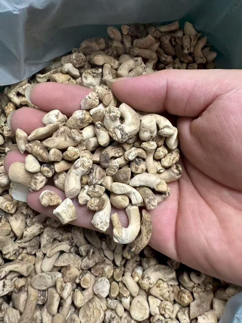 单剪香菇脚干货无泥沙抛光香菇脚，打磨香菇脚批发