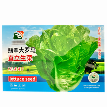 翡翠大罗马生菜种子孔雀菜无纤维耐热耐寒速生产量高