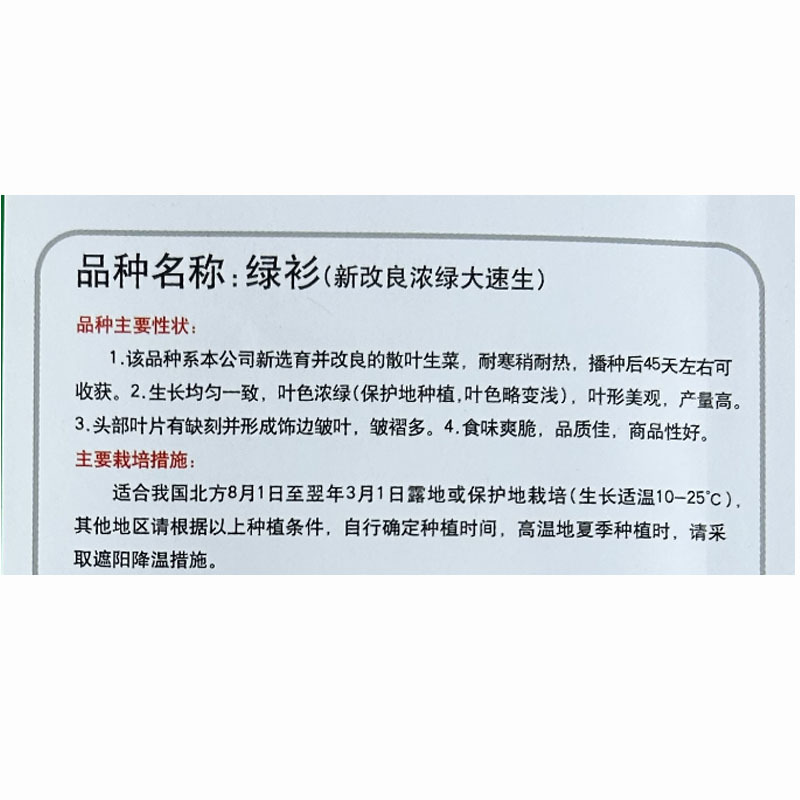 绿衫改良浓绿大速生菜种子产量高耐寒耐抽苔四季种植