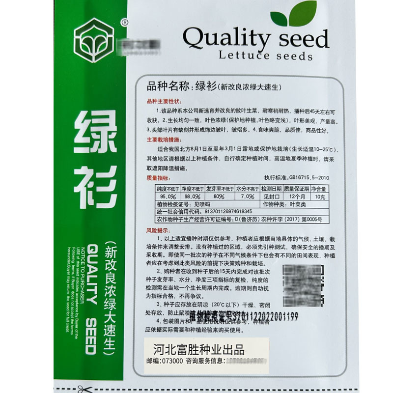 绿衫改良浓绿大速生菜种子产量高耐寒耐抽苔四季种植