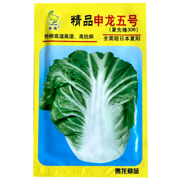 精品申龙五号白菜种子超夏阳10g早熟耐热耐湿