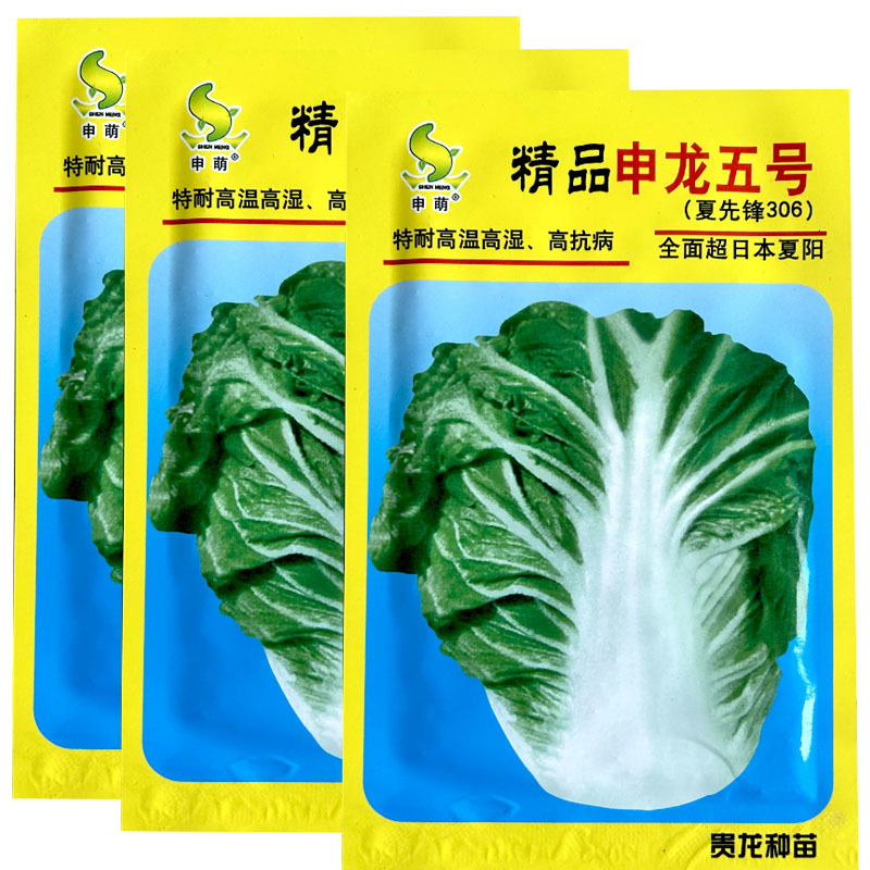 精品申龙五号白菜种子超夏阳10g早熟耐热耐湿