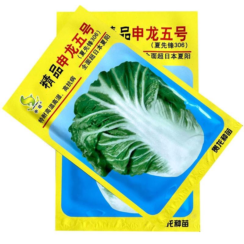精品申龙五号白菜种子超夏阳10g早熟耐热耐湿