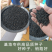 正宗苦荞麦种子优质杂粮种籽南北方种植畅销批发价10斤起卖