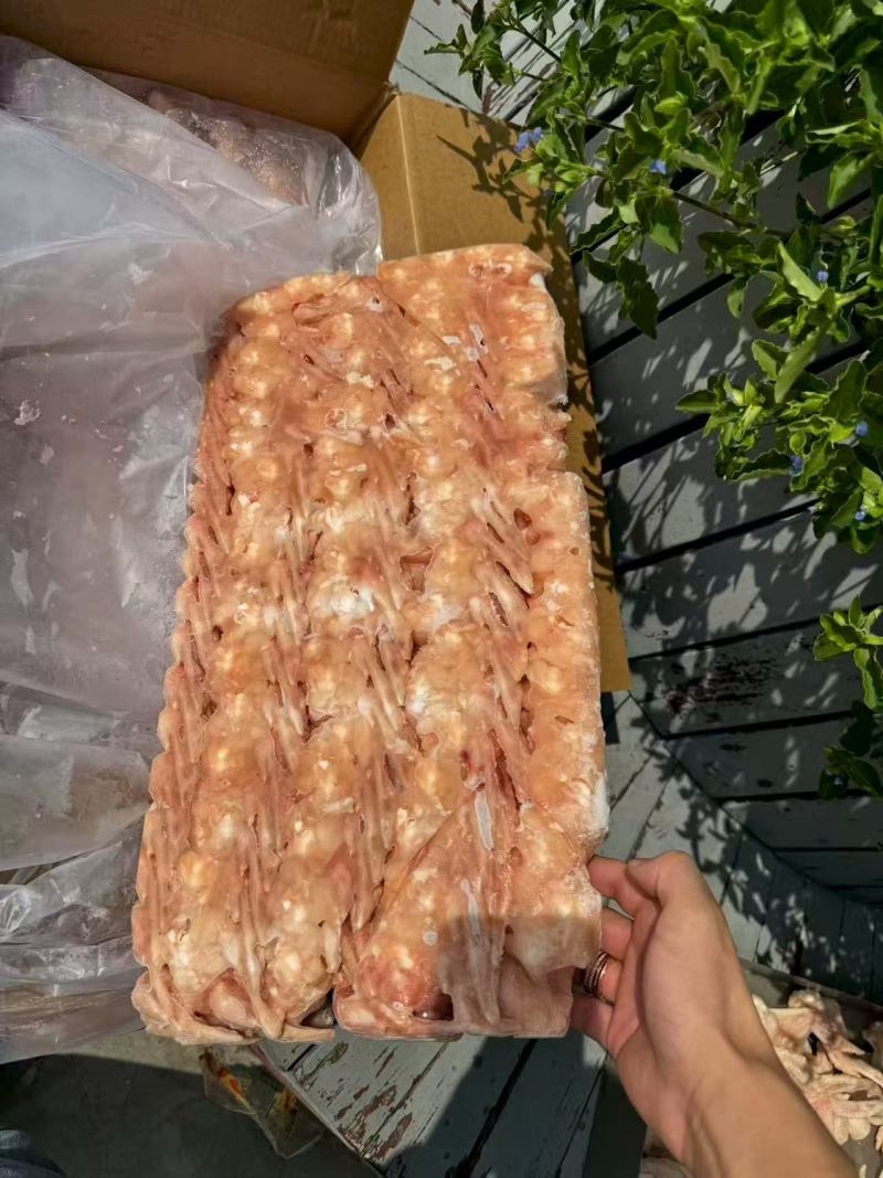 纯干排翅大量供应厂家直发价格优惠欢迎来电洽谈价更优
