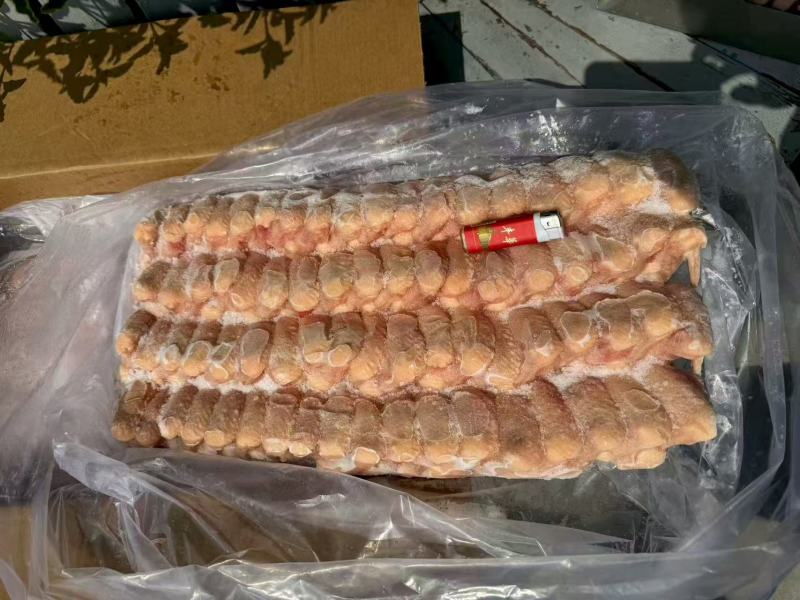 纯干排翅大量供应厂家直发价格优惠欢迎来电洽谈价更优