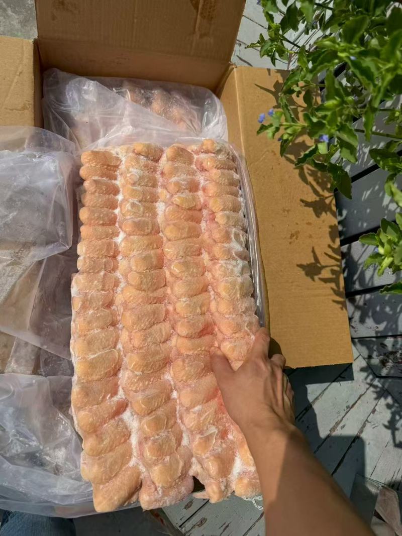 纯干排翅大量供应厂家直发价格优惠欢迎来电洽谈价更优