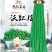 沃豇18号豇豆种子双荚率高丰产高产品种露地大棚均可种植