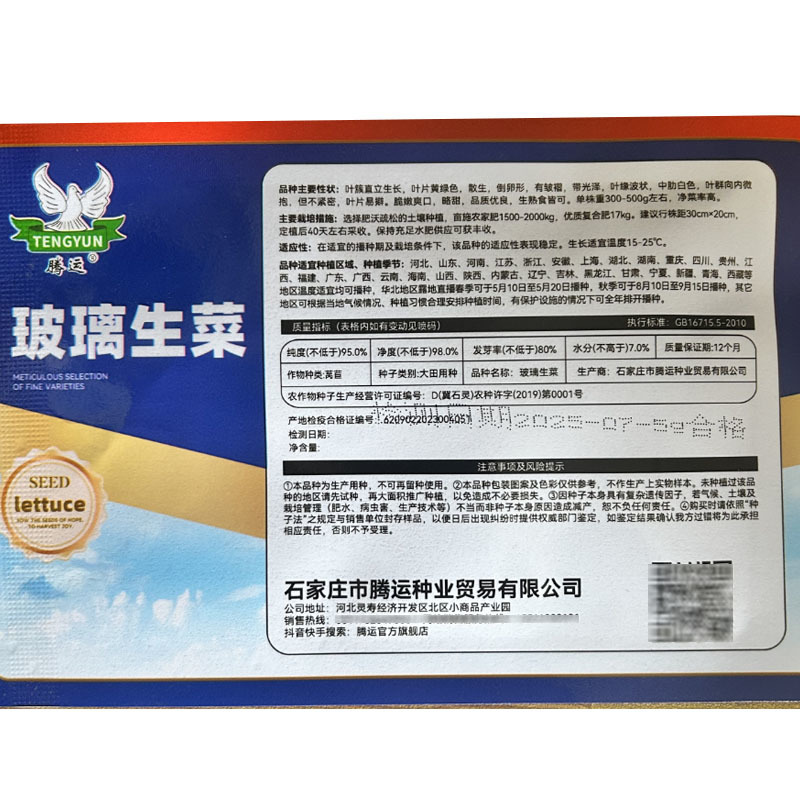 玻璃生菜种子散叶有皱叶净菜率高生菜种植大田基地