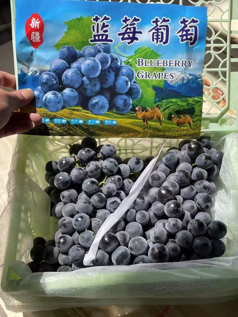新疆夏黑葡萄礼盒装/口感好脆甜/量大价优/欢迎咨询