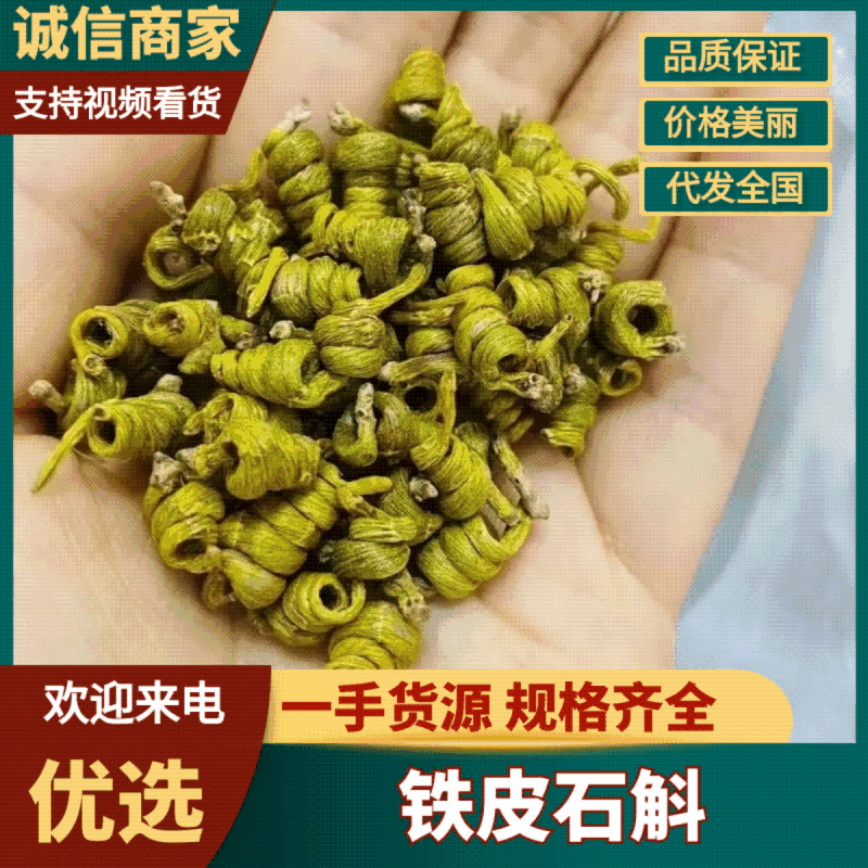 石斛、铁皮石斛、石斛、霍山石斛，霍山铁皮石斛