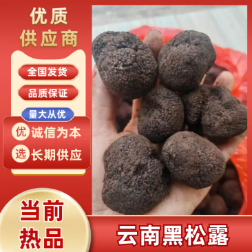 云南精品黑松露，纯野生货，可煲汤蒸蛋煮鸡等，味道极鲜
