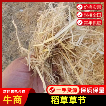 稻草草节喂牛种食用菌都可以无土无膜无霉变