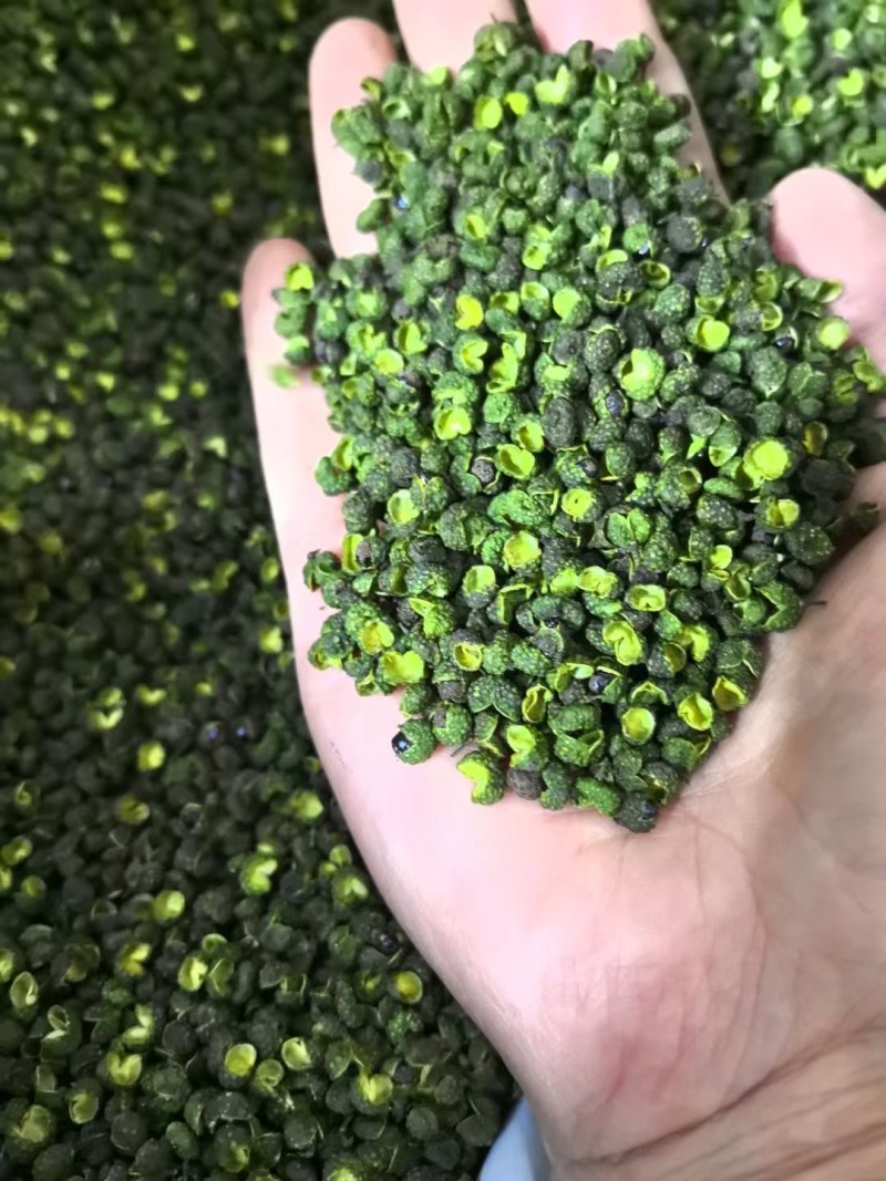 江津青花椒可代发全国对接各大电商平台产地直发