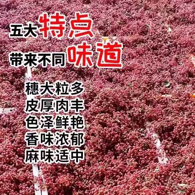 陕西花椒大量有货价格可谈质优价廉电联详谈