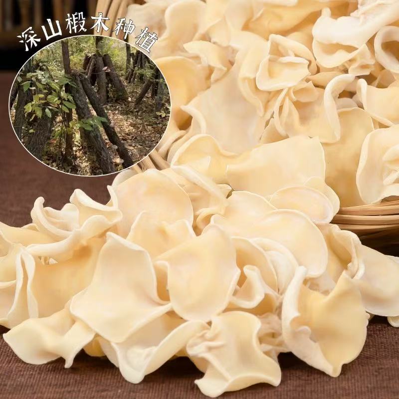 白玉木耳东北特产小碗耳干货无根竹耳兔儿菌