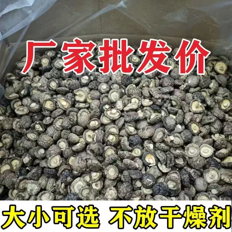 干香菇河南特产产地直供常年有货健康产品