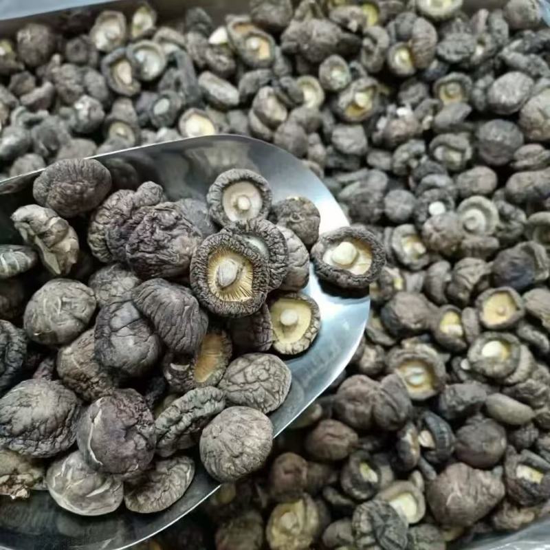干香菇河南特产产地直供常年有货健康产品