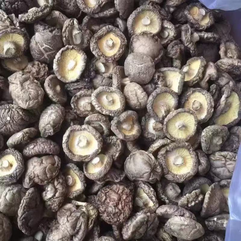 干香菇河南特产产地直供常年有货健康产品