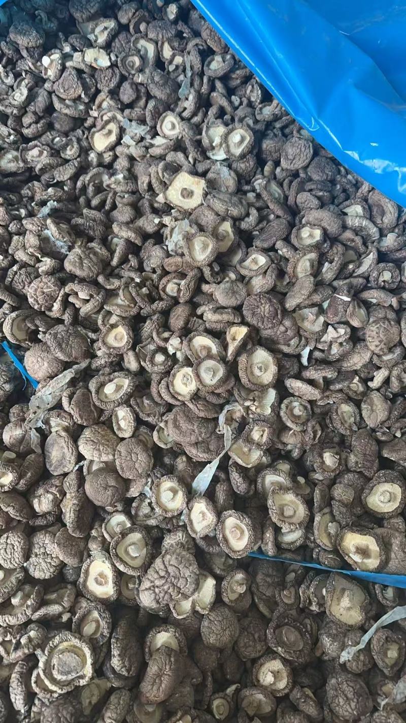 干香菇河南特产产地直供常年有货健康产品